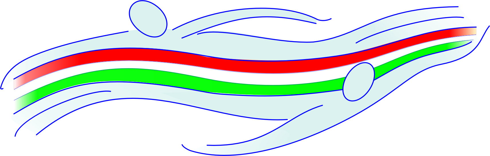 logo Magyar Szenior Úszók Országos Szövetsége